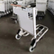 3 Wheels 250KG Airport Luggage Trolley Aluminum Alloy With Automatic Brake